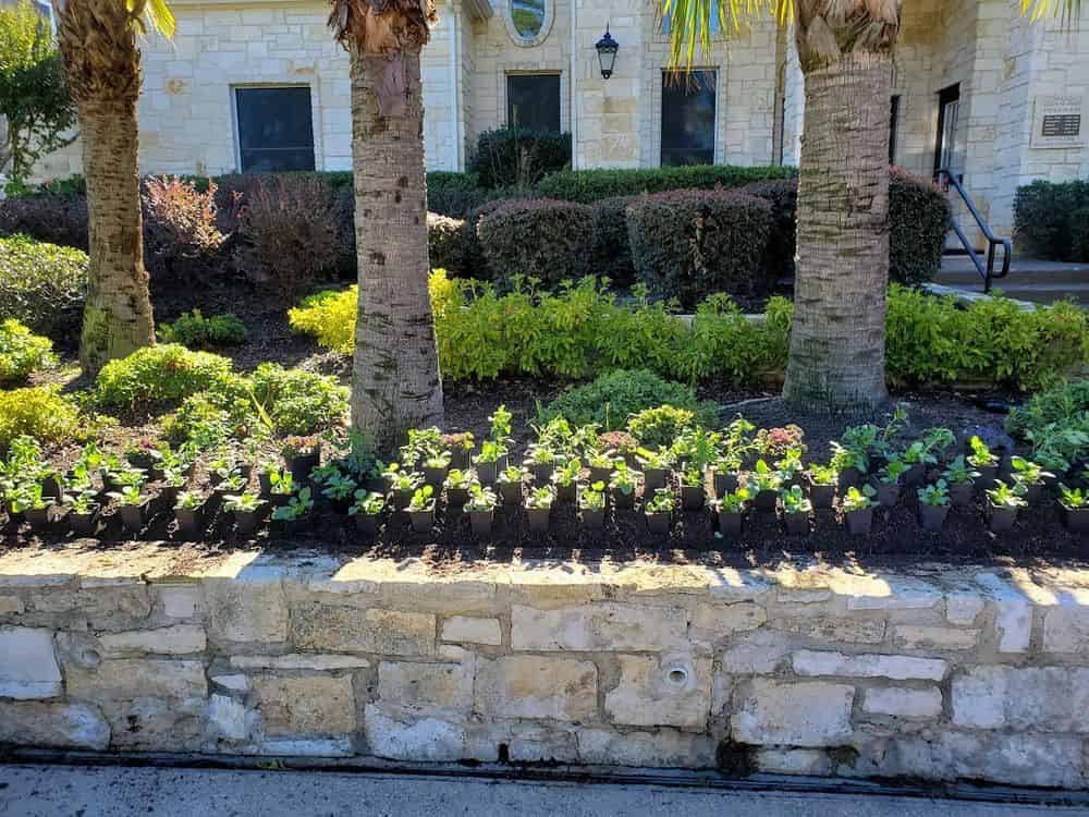 Hardscaping image