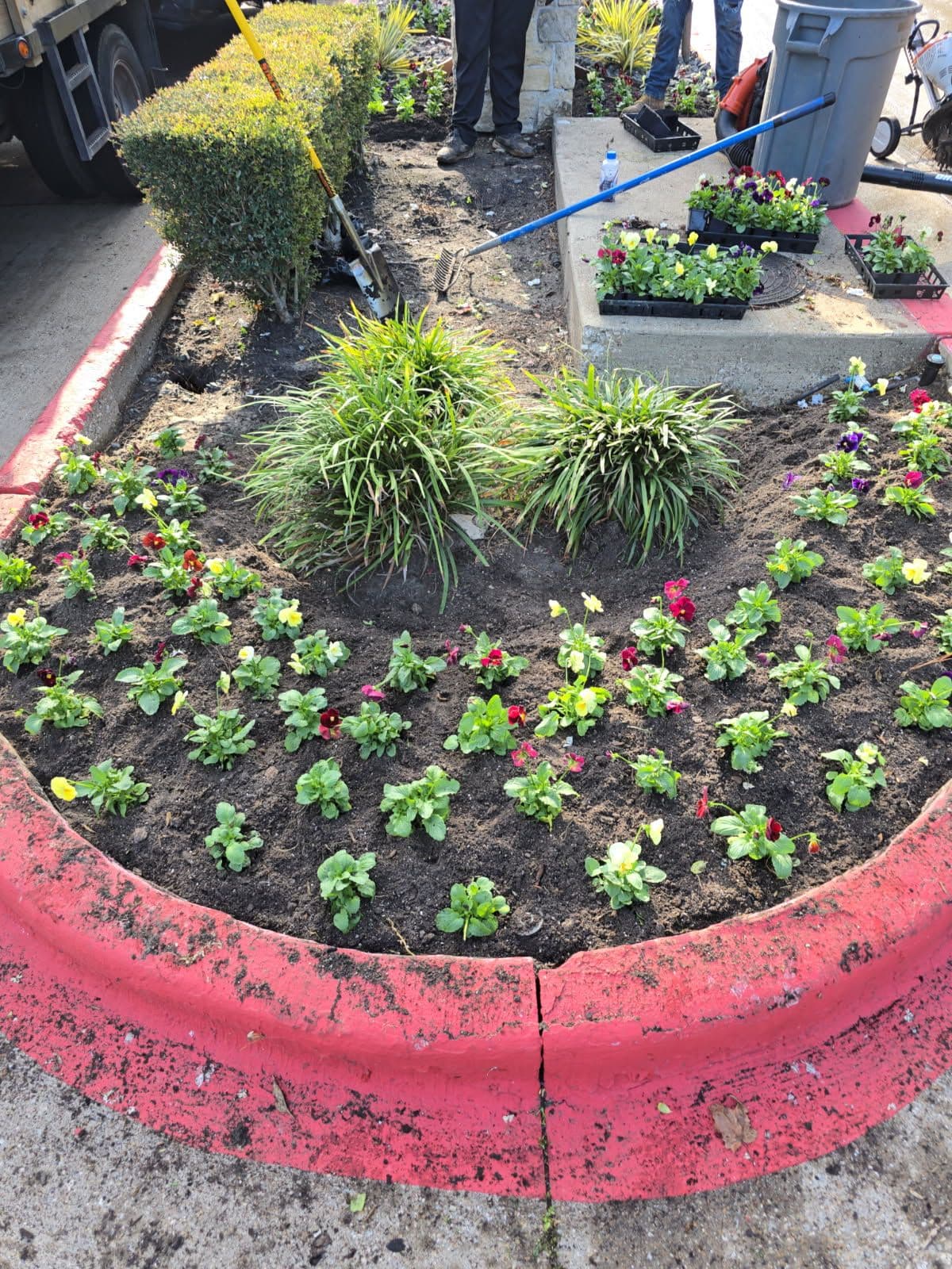 Colorful Flowerbed Transformation image