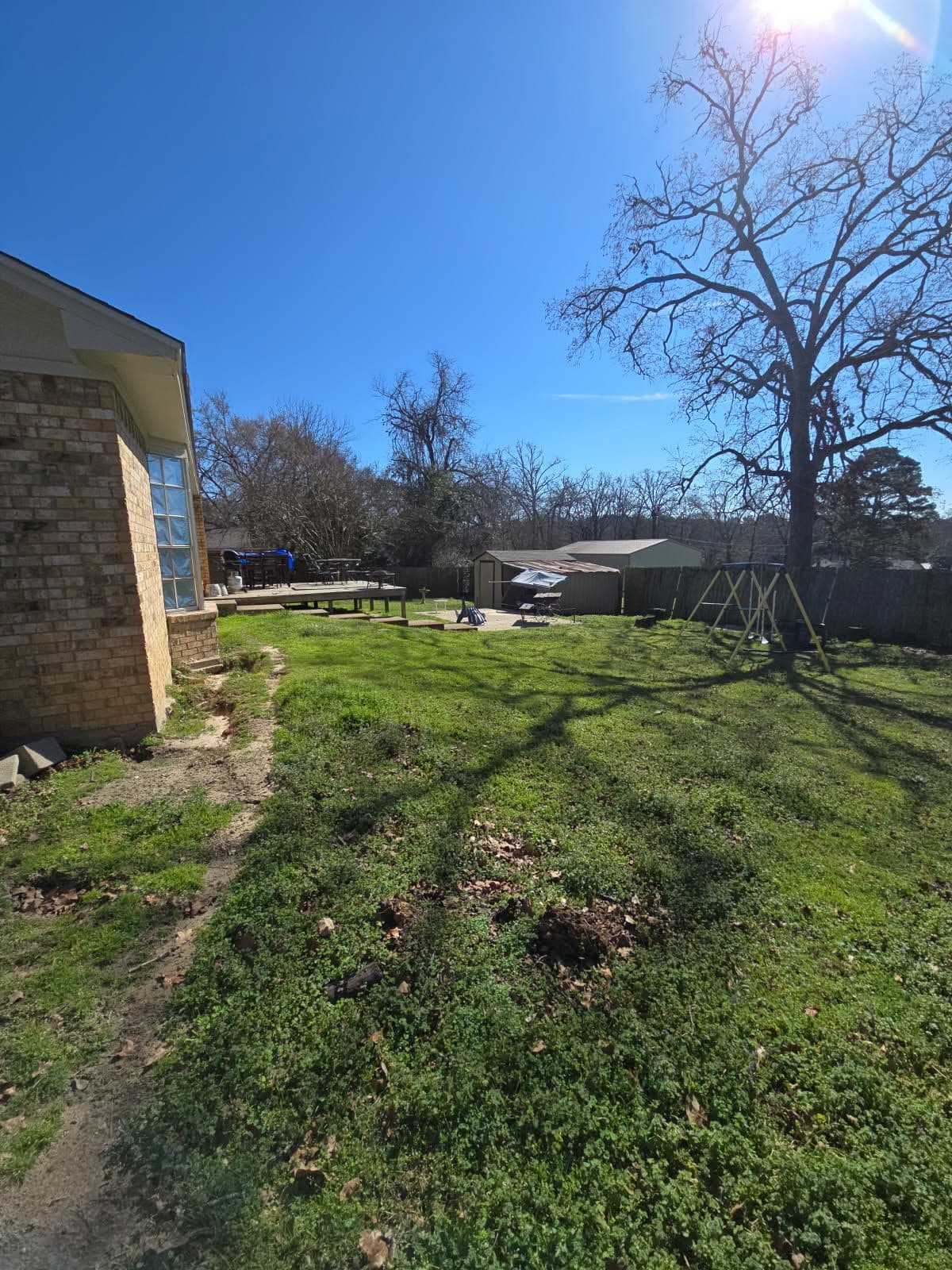 Yard Cleanup and Makeover