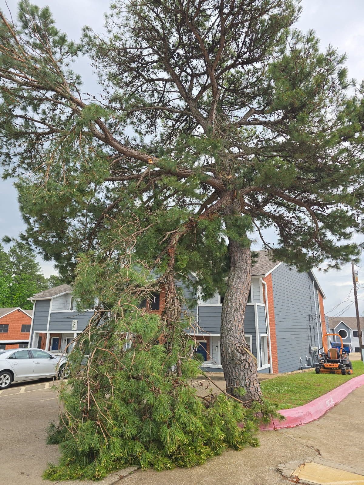 Project Essential Storm Cleanup Service Available Now image