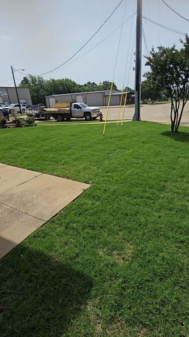 Stunning Bermuda Sod Installation at Office