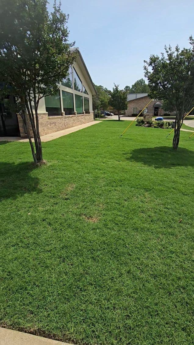 Stunning Bermuda Sod Installation at Office