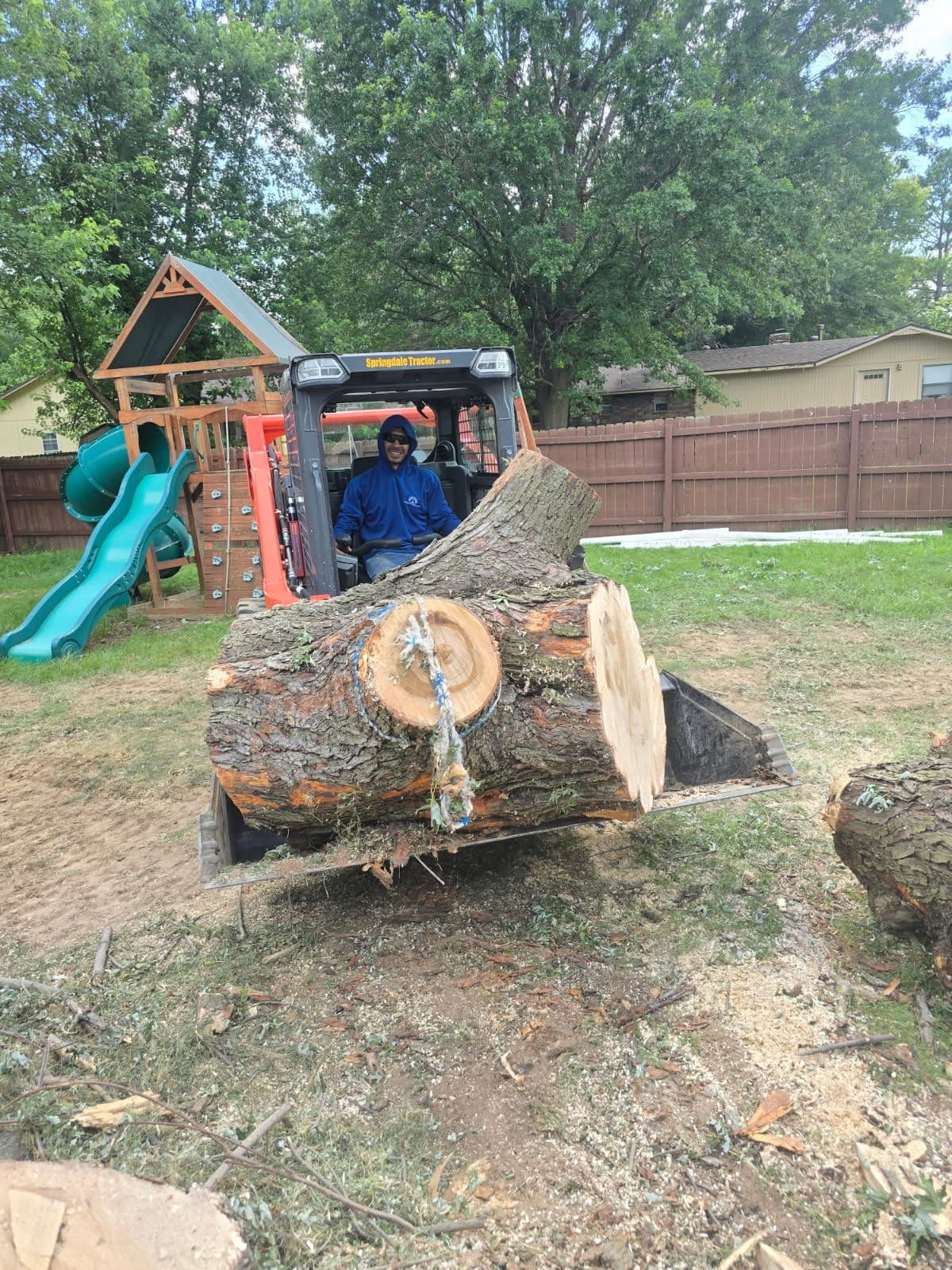 Effective Backyard Tree Stump Removal Service image