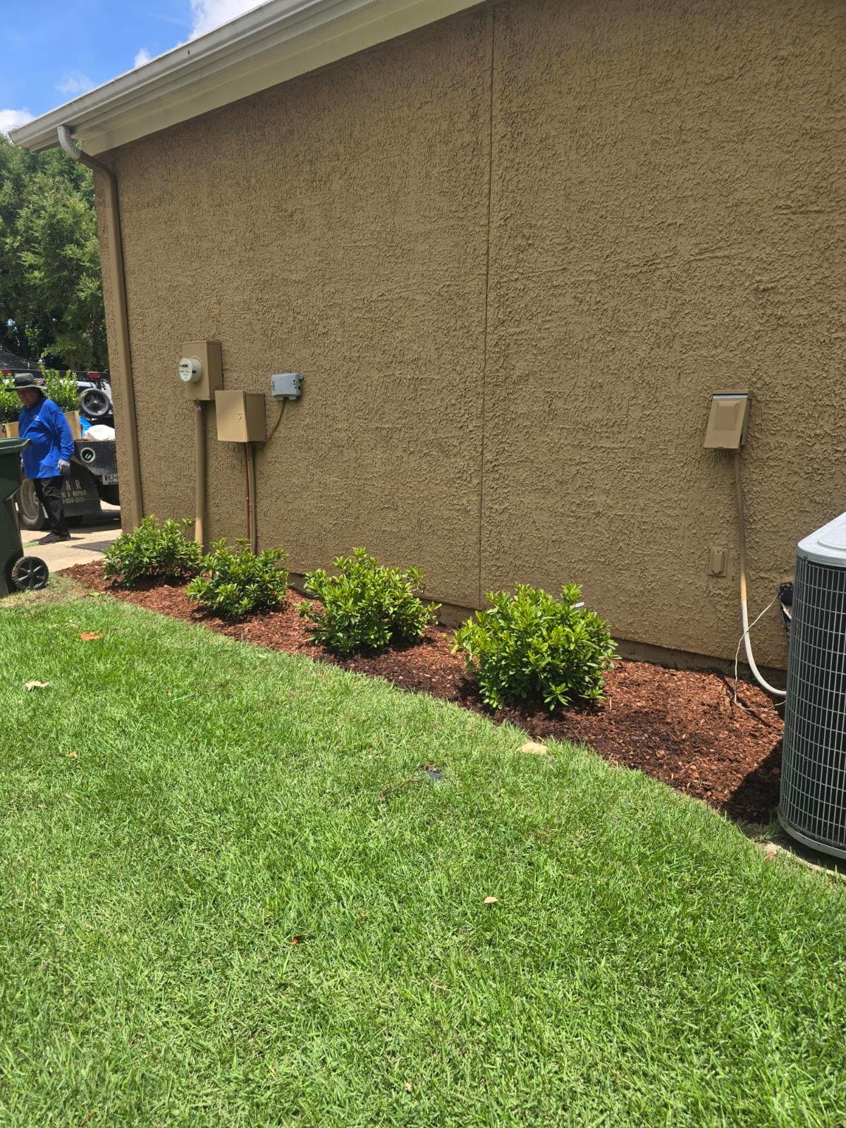 Boost Your Curb Appeal With Lush Landscaping image